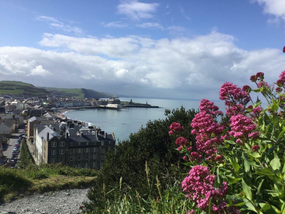 Cardigan Bay Self Catering Accommodation Aberystwyth Luaran gambar
